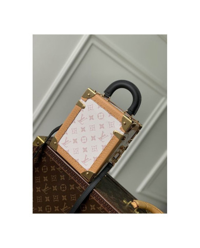 LV  Camera box