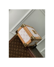 LV  Camera box