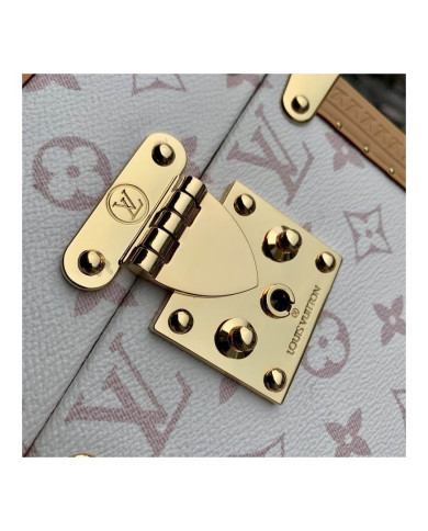 LV  Camera box