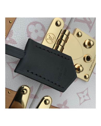 LV  Camera box