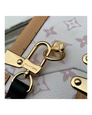 LV  Camera box