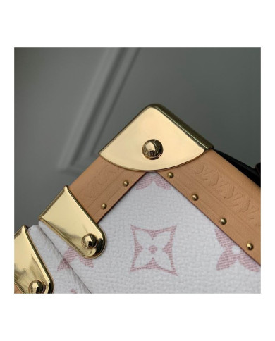 LV  Camera box