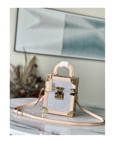 LV  Camera box