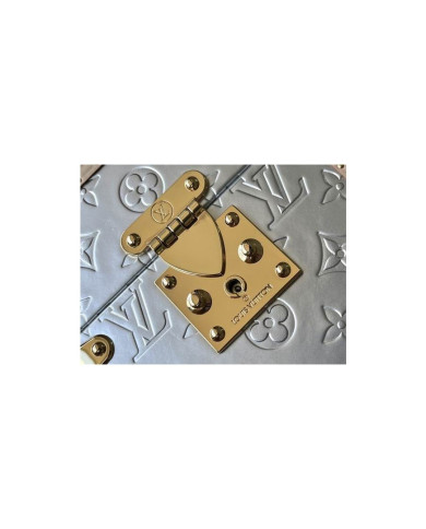 LV  Camera box