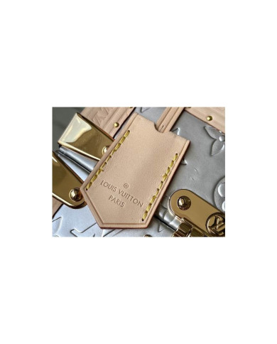 LV  Camera box