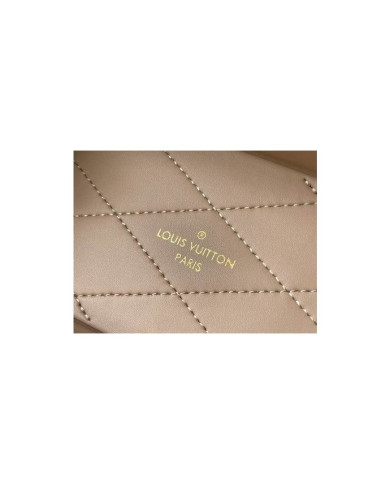 LV  Camera box