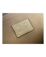 LV  All ys  other bag