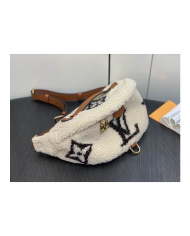 LV Bumbag other bag