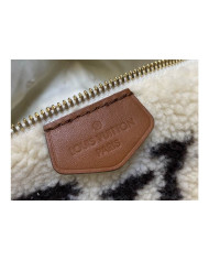 LV Bumbag other bag