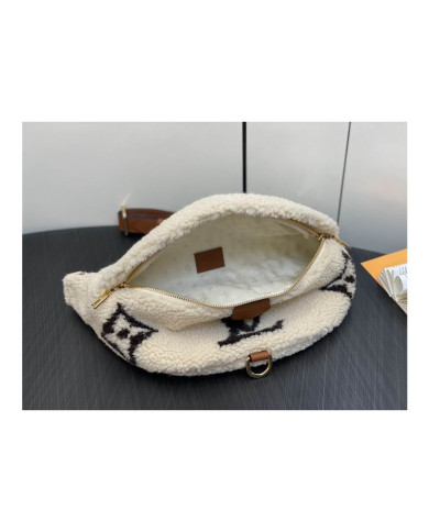 LV Bumbag other bag
