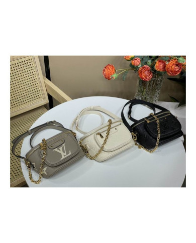 LV Bumbag other bag