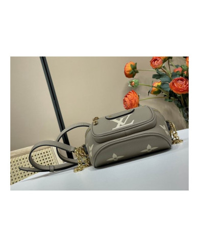 LV Bumbag other bag