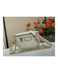 LV Bumbag other bag