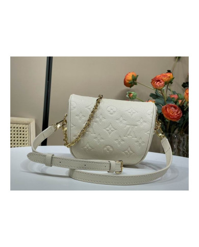 LV Bumbag other bag