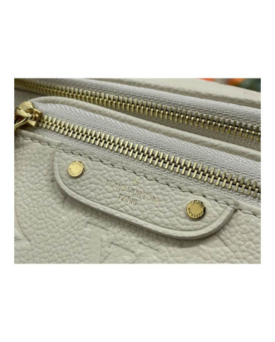 LV Bumbag other bag