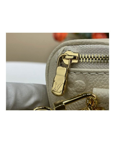 LV Bumbag other bag