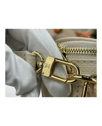 LV Bumbag other bag
