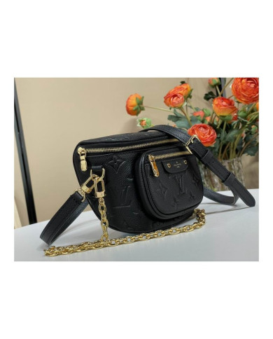 LV Bumbag other bag