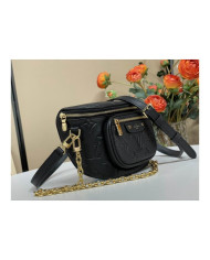 LV Bumbag other bag