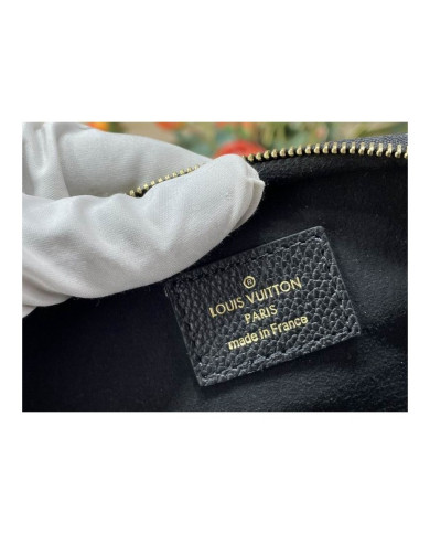 LV Bumbag other bag