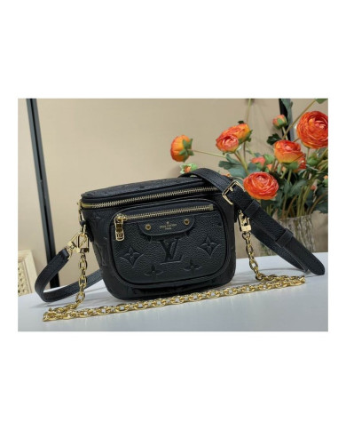 LV Bumbag other bag