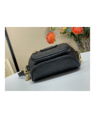 LV Bumbag other bag
