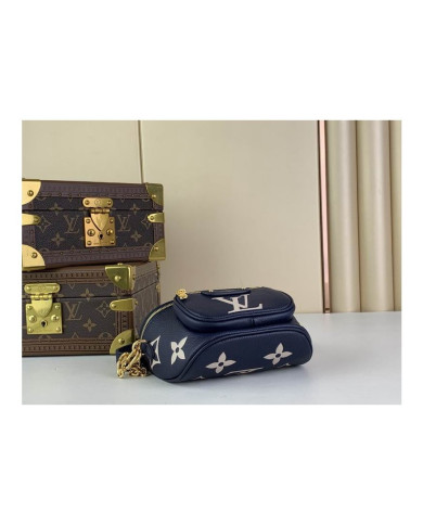LV Bumbag other bag