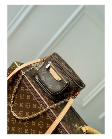 LV Bumbag other bag