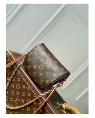 LV Bumbag other bag