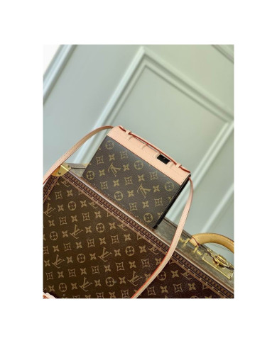 LV  Chain  other bag