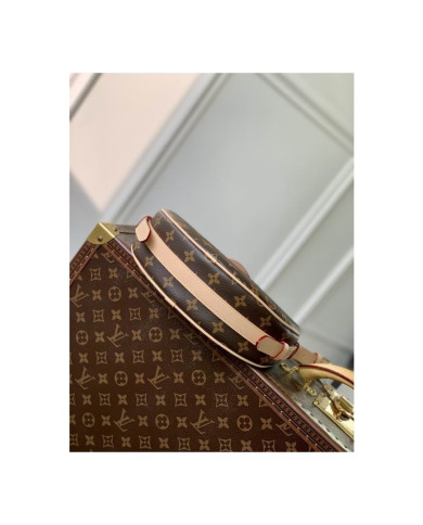 LV Croissant  other bag