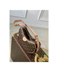 LV Croissant  other bag