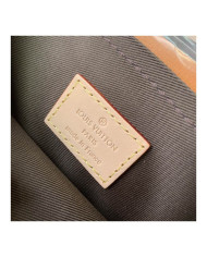 LV Croissant  other bag