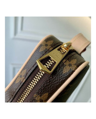 LV Croissant  other bag
