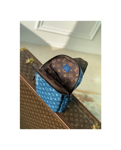 LV  Damier  other bag
