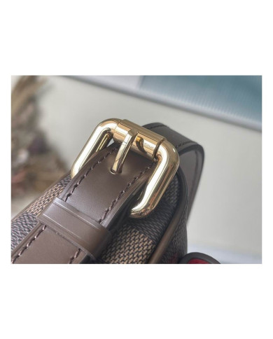 LV  Damier  other bag
