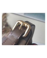LV  Damier  other bag