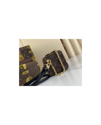 LV  Dice  other bag