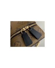 LV  Dice  other bag