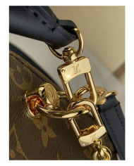 LV  Dice  other bag