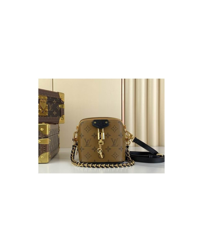 LV  Just In Case  other bag