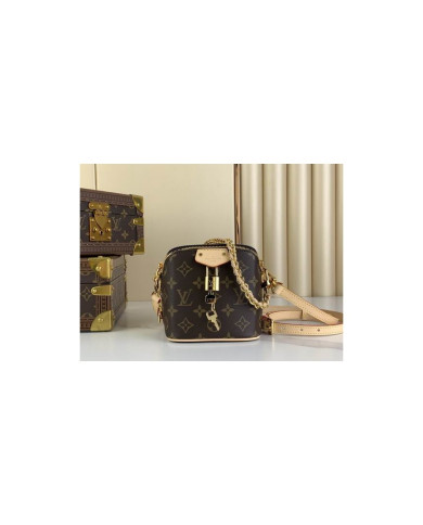 LV Just In Case other bag