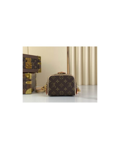 LV Just In Case other bag
