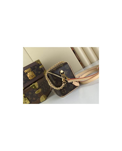 LV Just In Case other bag