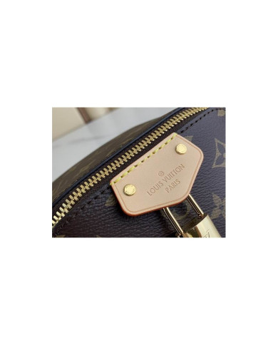 LV Just In Case other bag