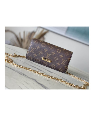 LV  LiLy Woc  other bag