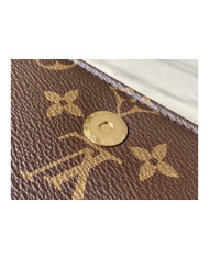 LV  LiLy Woc  other bag