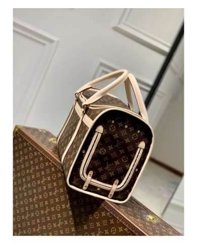 LV other bag