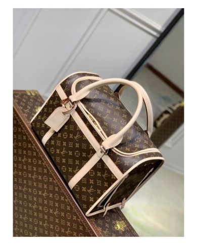 LV other bag