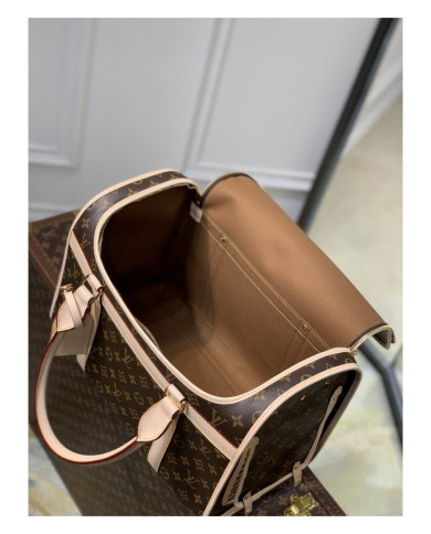 LV other bag